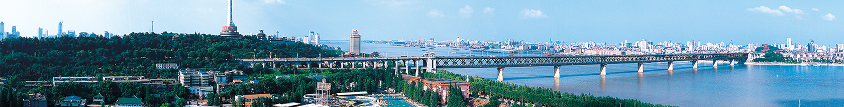 新航娱乐