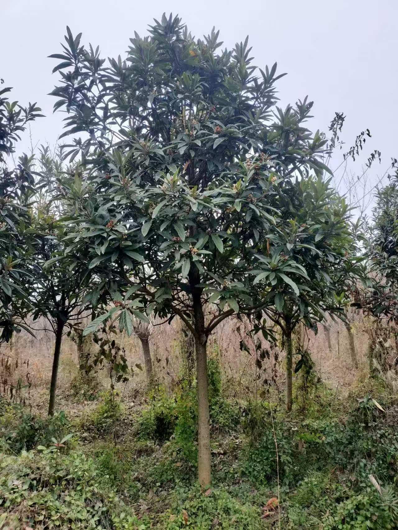 新航娱乐 1bd94