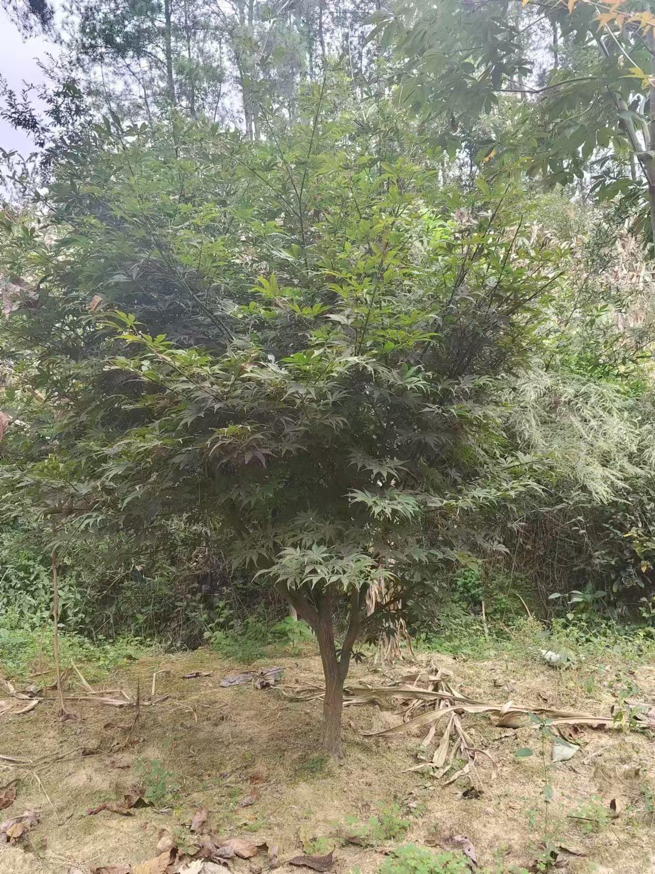 新航娱乐 9ee5e