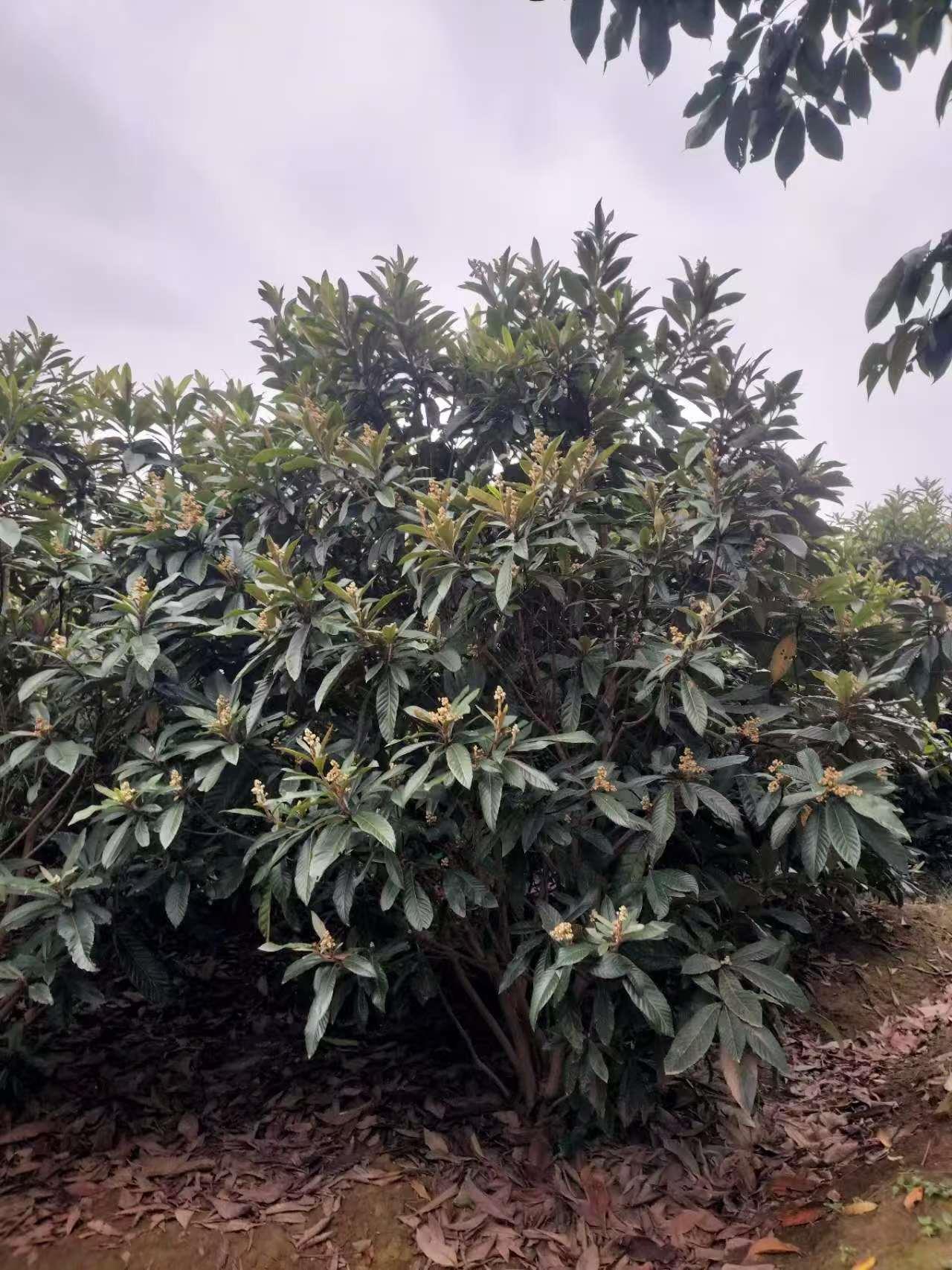 新航娱乐 70ea2