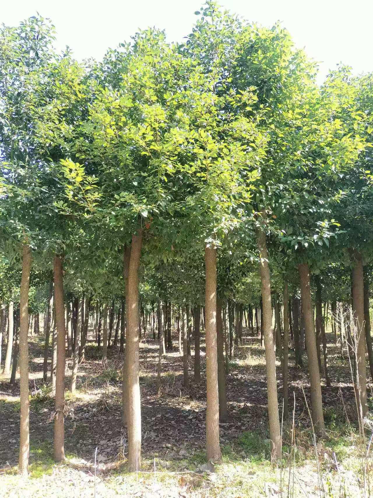新航娱乐 147ca