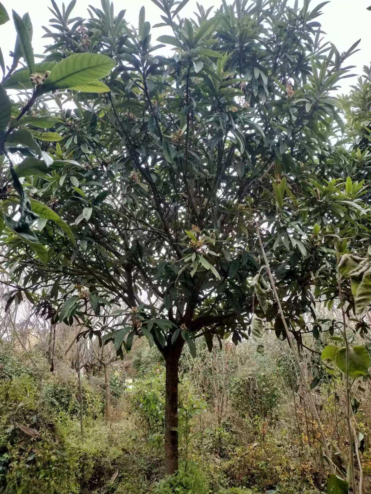 新航娱乐 bb045