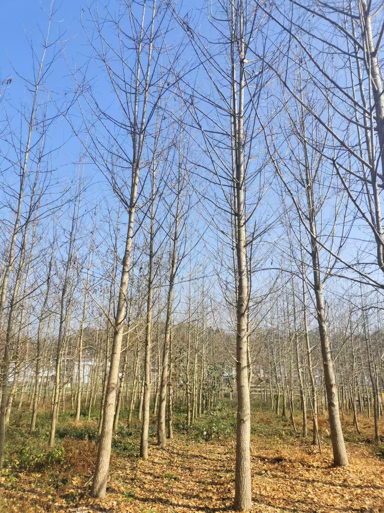 微信图片_20250302083322.jpg