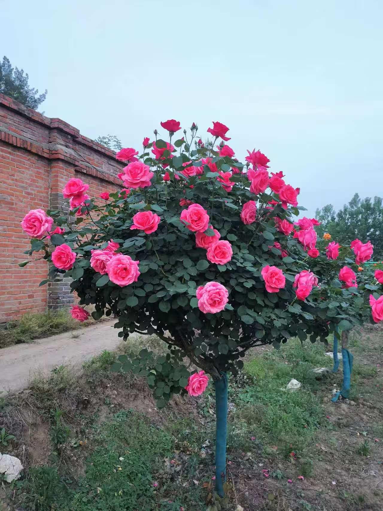新航娱乐 a9bb9