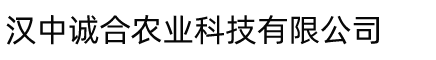 新航娱乐
