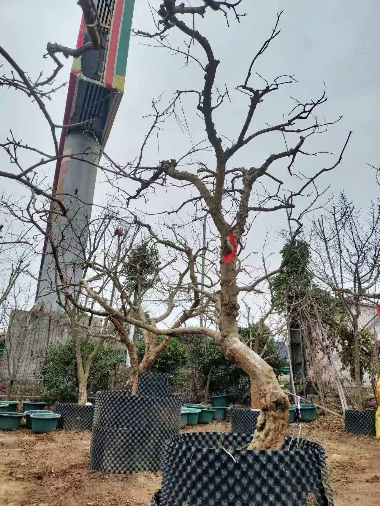 微信图片_202503020830041.jpg