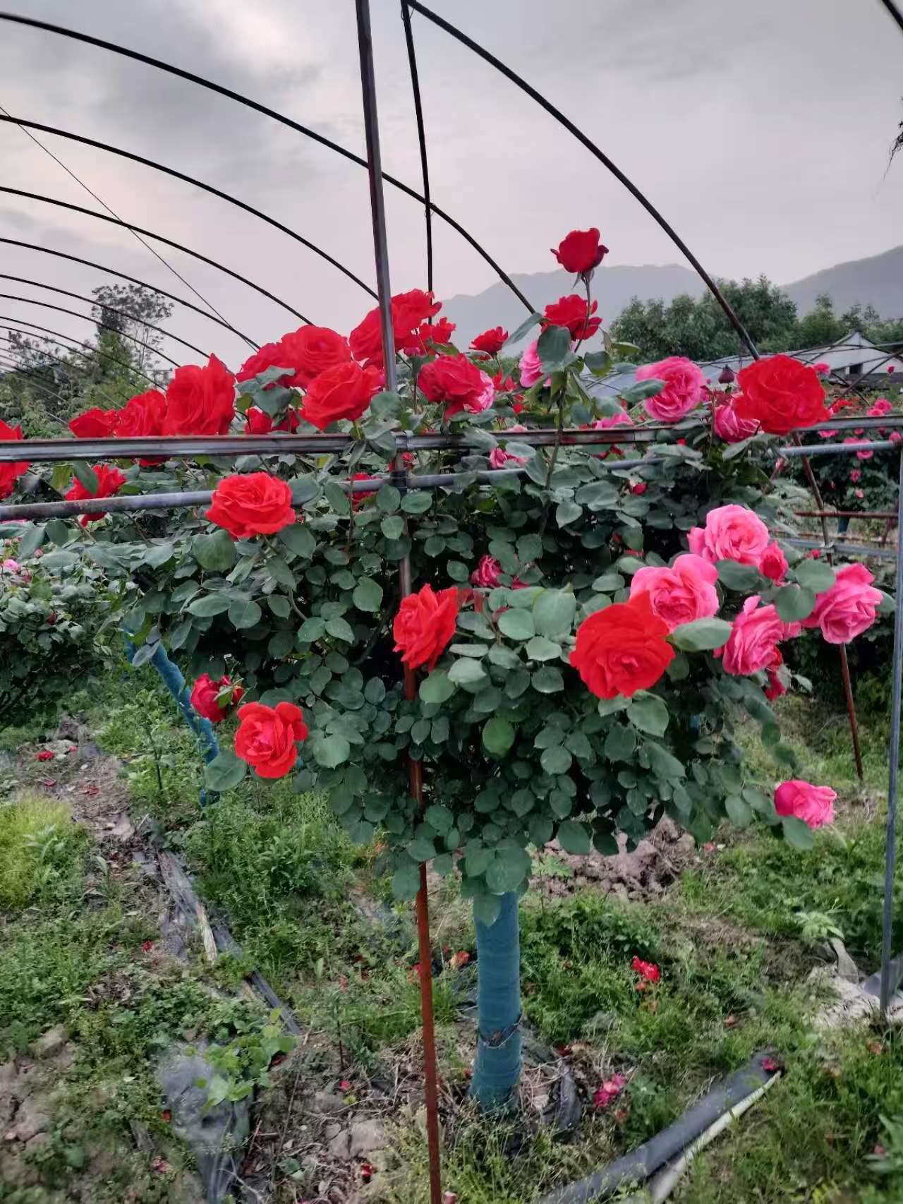 新航娱乐 b3e59