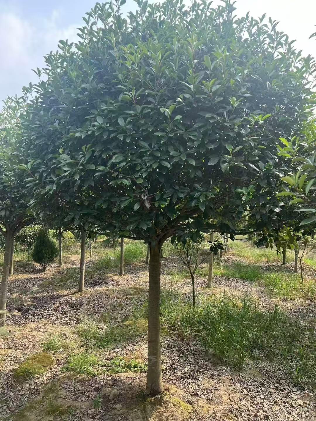 新航娱乐 f090f