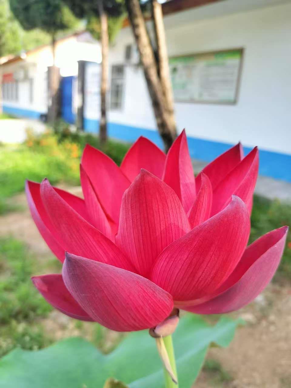 新航娱乐 f444f