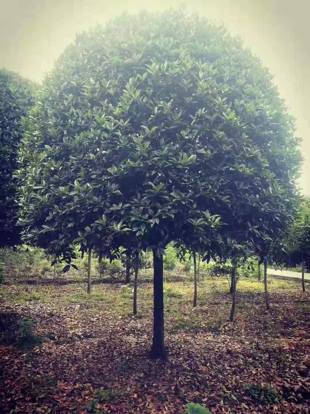 新航娱乐 c8e03