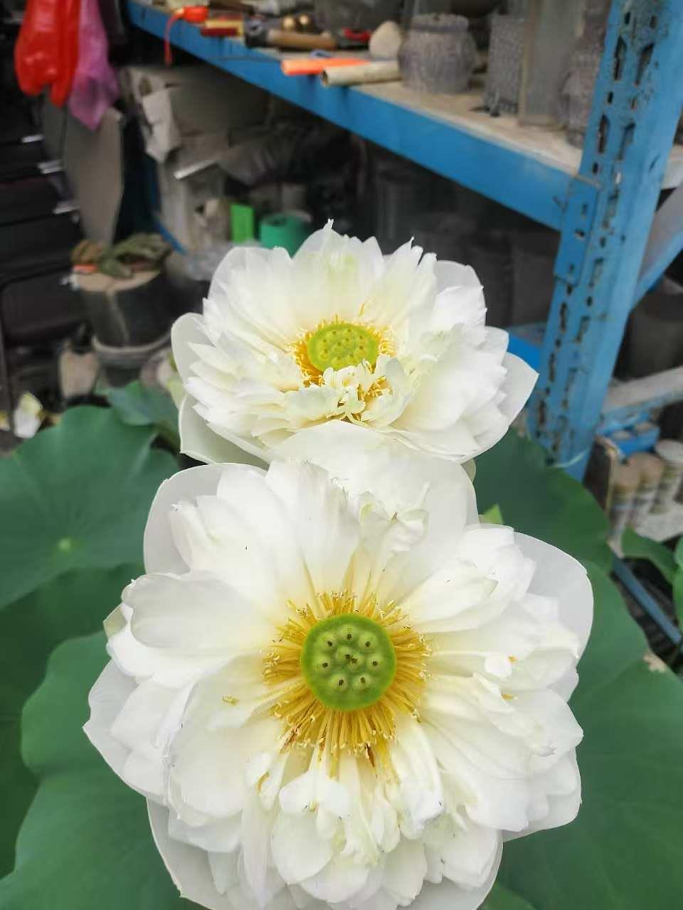 新航娱乐 9b580