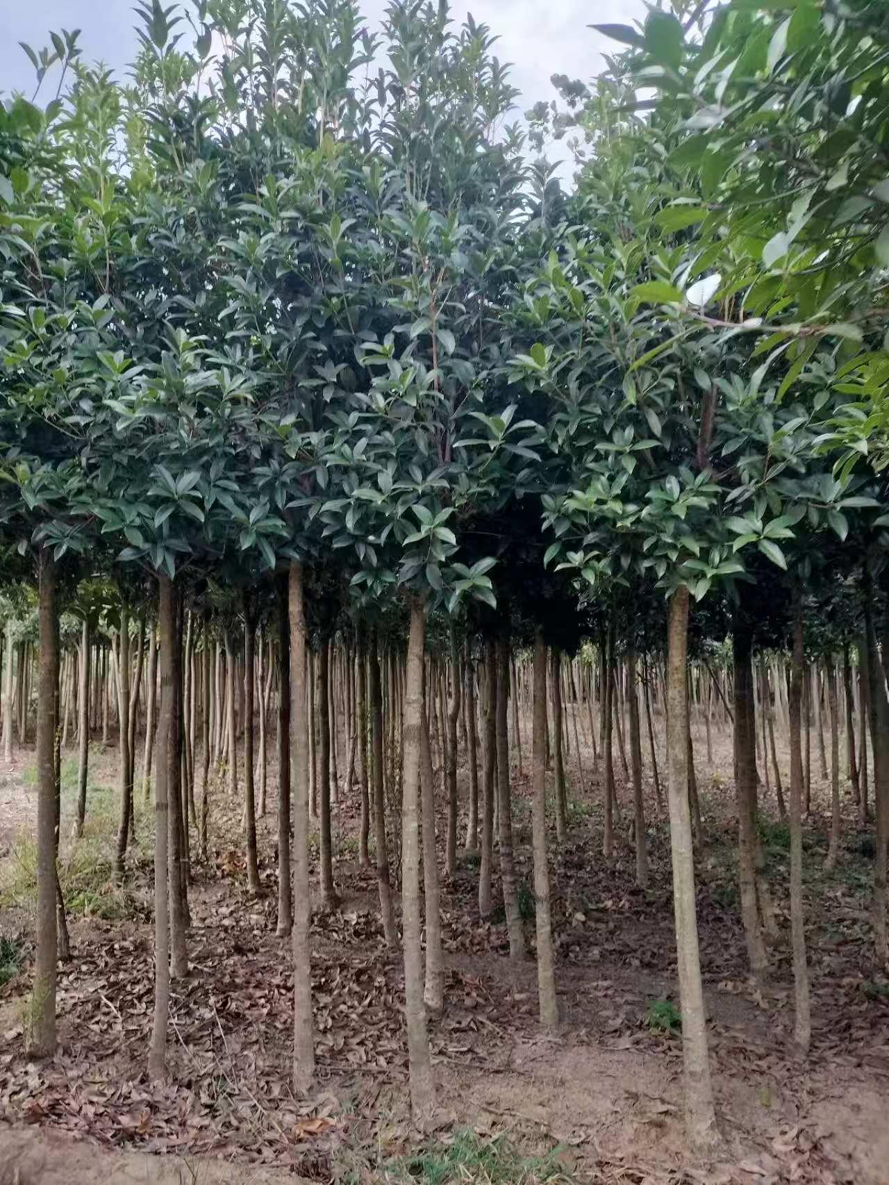新航娱乐 e0dfd